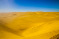 Golden desert